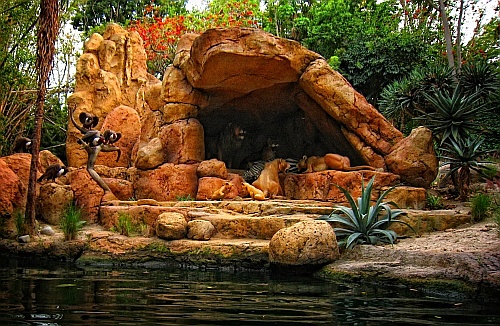 disneyland