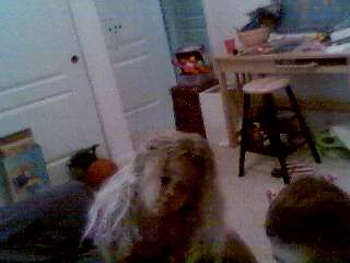 gallery 20040102 081940 1 01